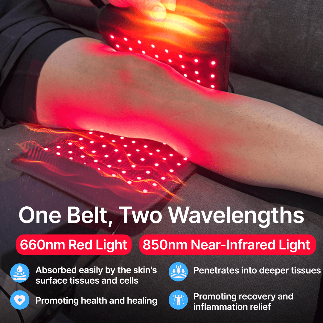 Restvive red light therapy belt shown flat with adjustable strap