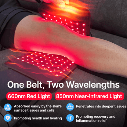 Restvive red light therapy belt shown flat with adjustable strap